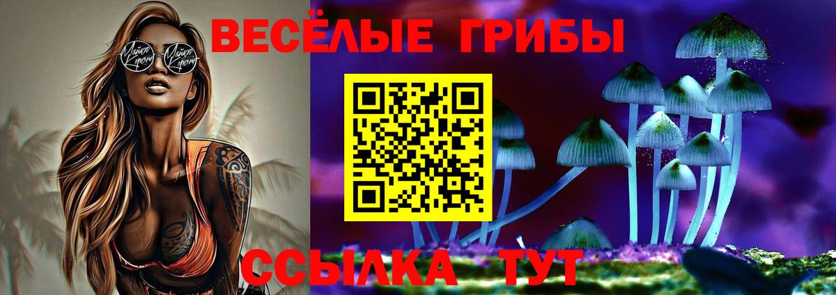 Псилоцибиновые грибы Psilocybine cubensis Лысьва